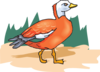 Orange Feathered Bird Clip Art